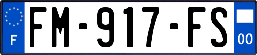 FM-917-FS