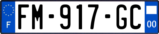 FM-917-GC