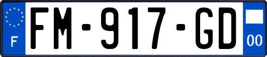 FM-917-GD