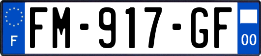 FM-917-GF