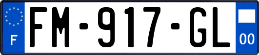FM-917-GL