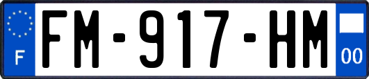 FM-917-HM