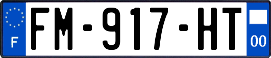FM-917-HT