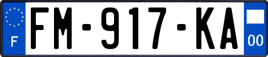 FM-917-KA