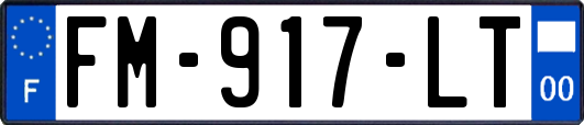 FM-917-LT