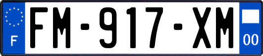 FM-917-XM