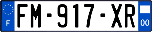 FM-917-XR
