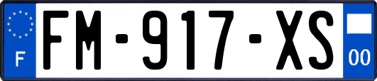 FM-917-XS