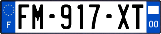 FM-917-XT