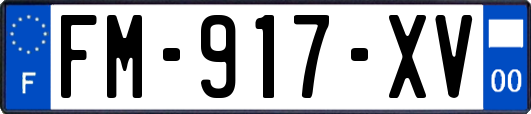 FM-917-XV