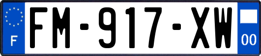 FM-917-XW
