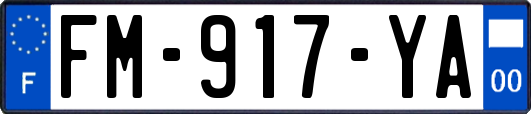 FM-917-YA