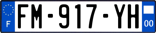 FM-917-YH