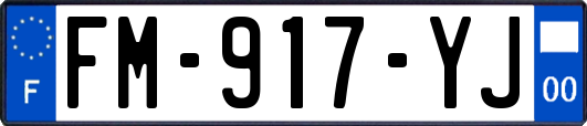 FM-917-YJ