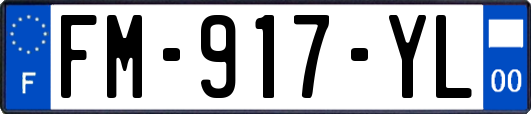 FM-917-YL