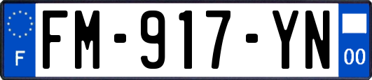 FM-917-YN