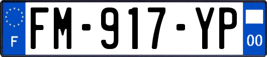 FM-917-YP