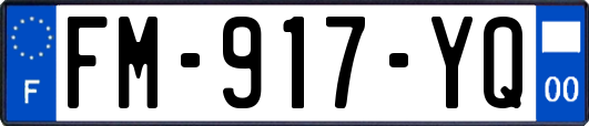 FM-917-YQ