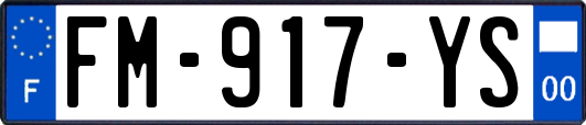 FM-917-YS