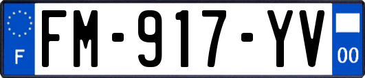 FM-917-YV
