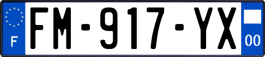 FM-917-YX