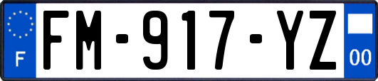 FM-917-YZ