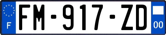 FM-917-ZD
