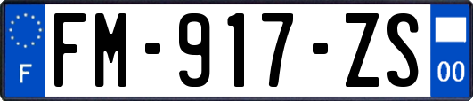 FM-917-ZS