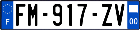 FM-917-ZV