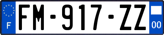 FM-917-ZZ