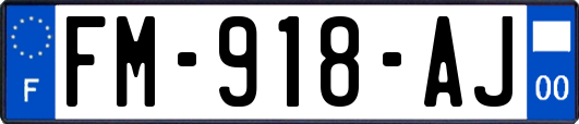 FM-918-AJ