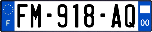 FM-918-AQ