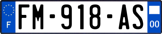 FM-918-AS
