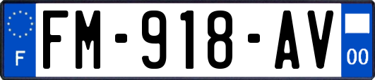 FM-918-AV