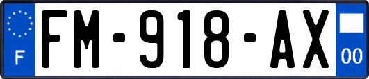 FM-918-AX