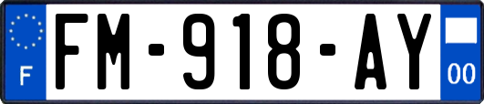 FM-918-AY