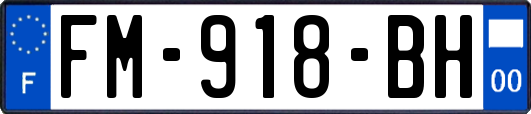 FM-918-BH