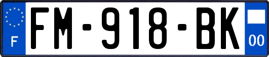 FM-918-BK