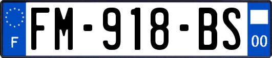 FM-918-BS