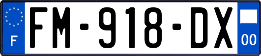 FM-918-DX