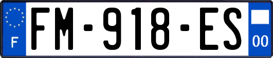 FM-918-ES
