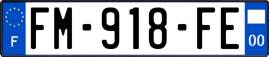 FM-918-FE