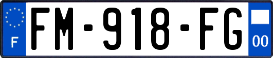 FM-918-FG