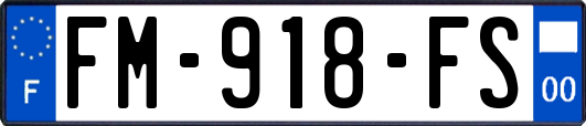 FM-918-FS