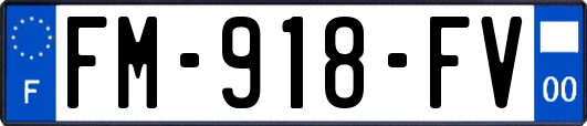 FM-918-FV