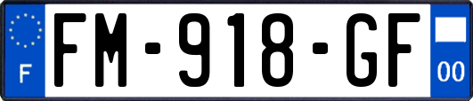 FM-918-GF