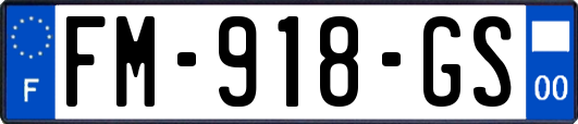 FM-918-GS