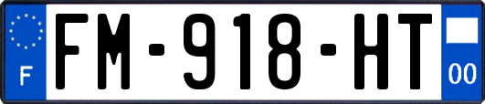 FM-918-HT