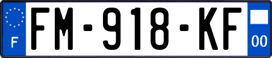 FM-918-KF
