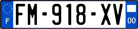 FM-918-XV